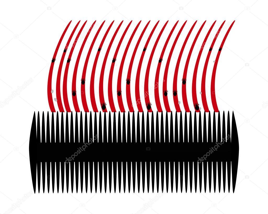 Lice comb and hair with nits on white ba
