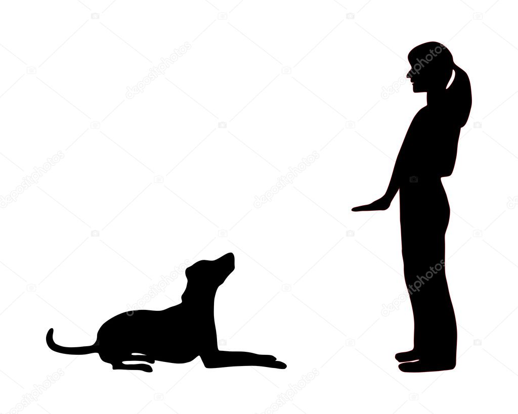 Dog training (obedience): command sit do