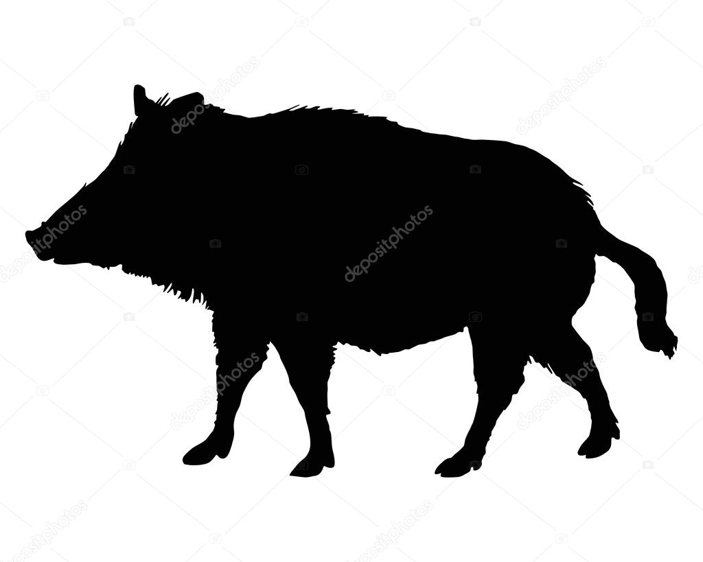 The black silhouette of a boar on white