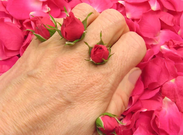 指 emblazonment としてピンクのバラの蕾 — ストック写真