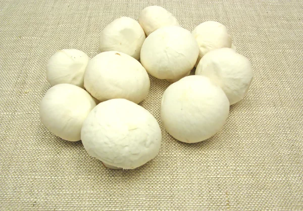 Grzyby biały na beżowy Obrus — Zdjęcie stockowe