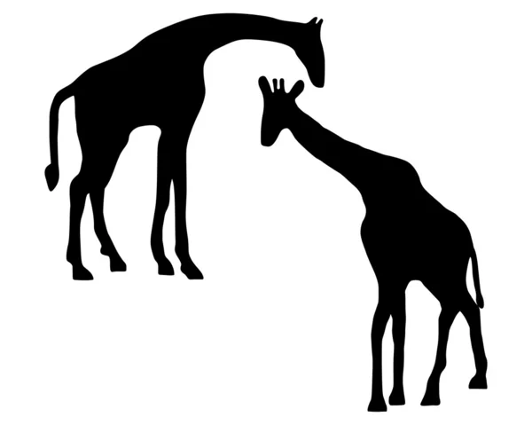 Isolierte Illustration von zwei Giraffen — Stockfoto