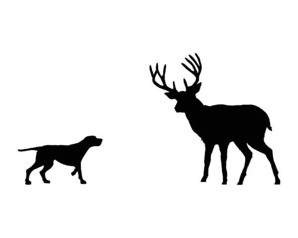 Dois animais, cão de caça e veado — Fotografia de Stock