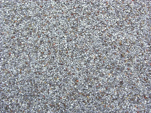 Vista de perto sobre sementes de papoila — Fotografia de Stock