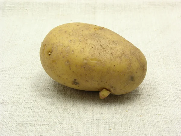 Single unpeeled potato — Stock Photo, Image