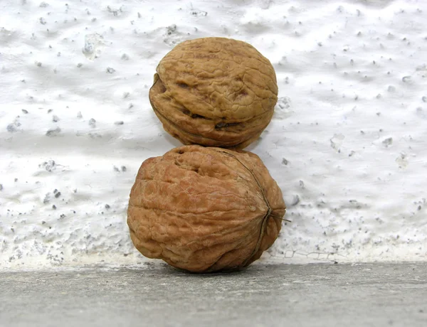 Walnuts in front of white wall — Stock Photo, Image