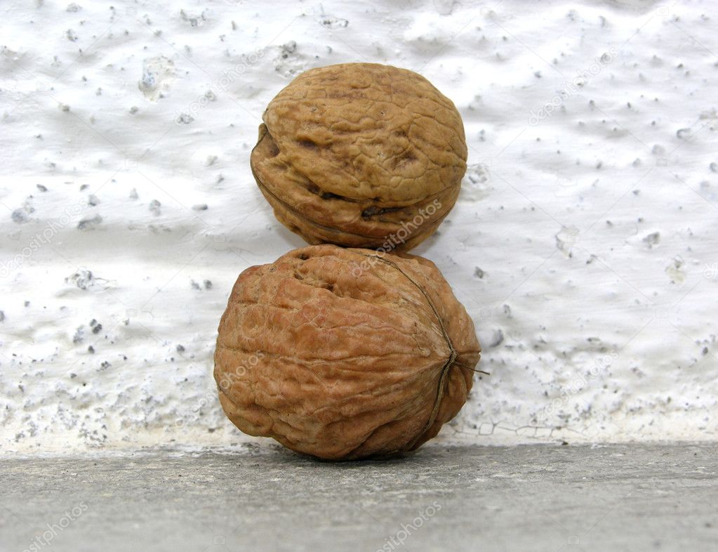 Walnuts in front of white wall