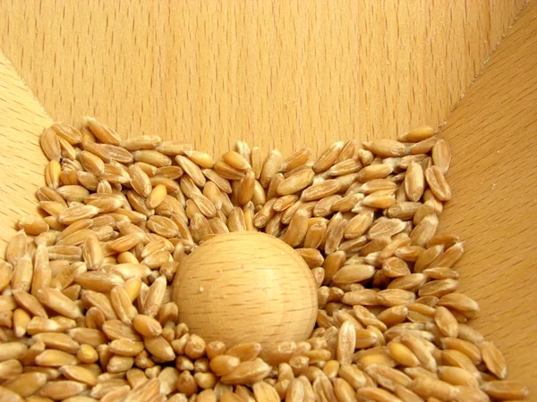Molino de harina relleno con granos —  Fotos de Stock