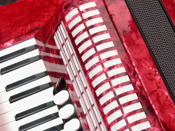 Cutout with accordion — Stock Photo, Image