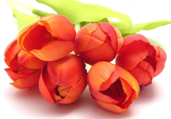 Пластиковые тюльпаны — стоковое фото