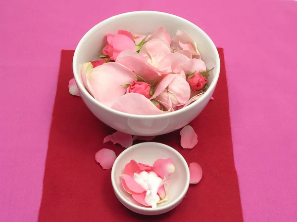 Pink roses and cream — Stock Photo, Image