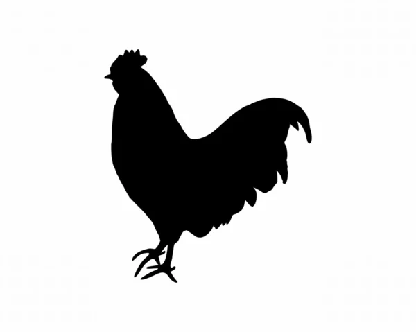 Schwarze Silhouette eines Hahns auf weißem Grund — Stockfoto