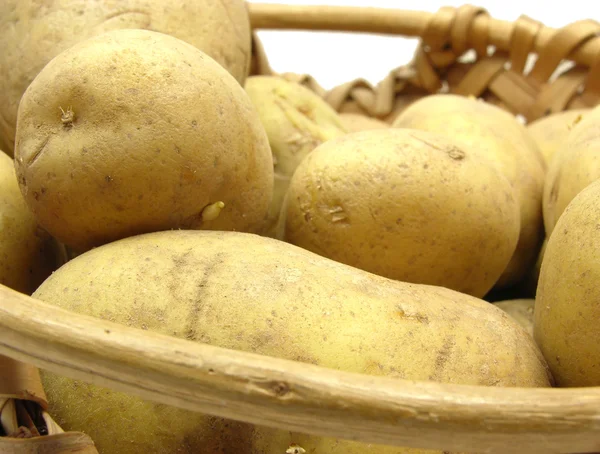 Ein Korb mit Kartoffeln — Stockfoto