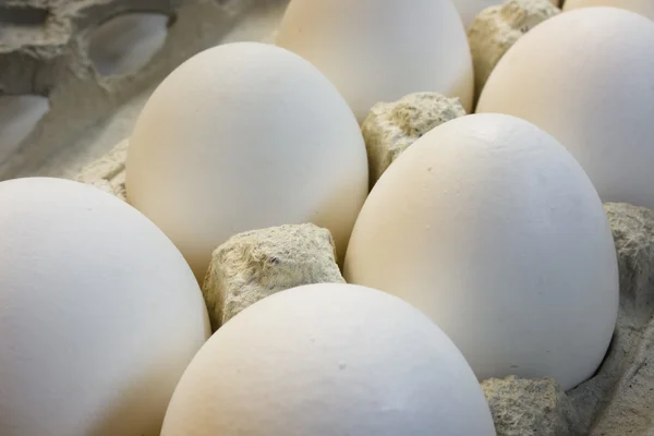 stock image Eggs in cardboard packing