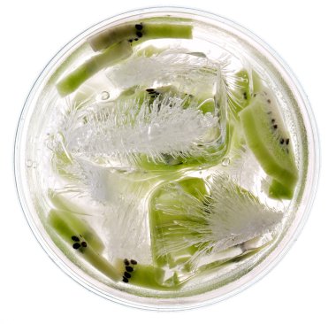 Kiwi in lowball glass clipart