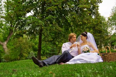 Newlyweds drinking wine clipart