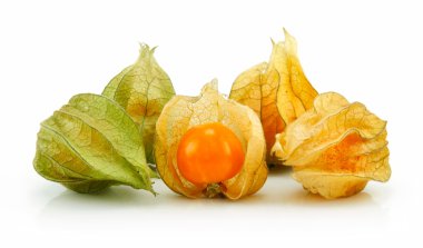 Cape izole bektaşi üzümü (Physalis)