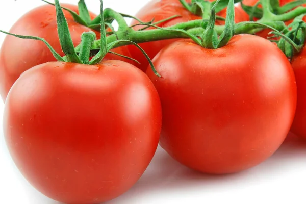 Close-up of Ripe Tomatoes Isolated on Wh — Stock Photo, Image