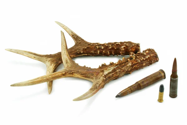 Pair of deer antlers and bullets — Stock Photo, Image