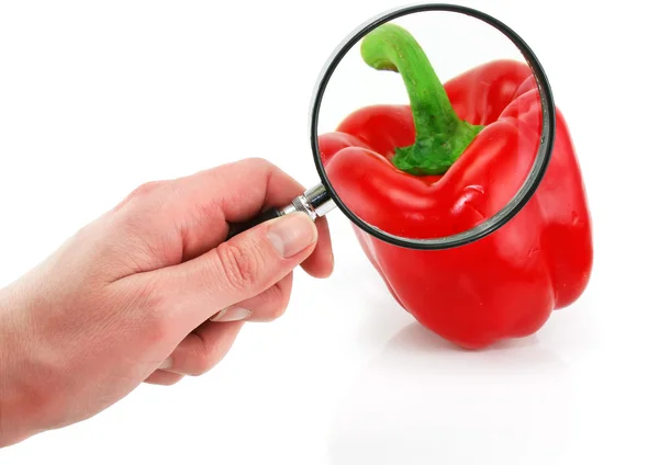 Fresh red paprika through the magnifying — Stock Photo, Image