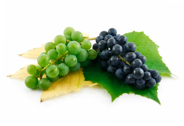 Mazzo di uve mature verdi e blu con — Foto Stock