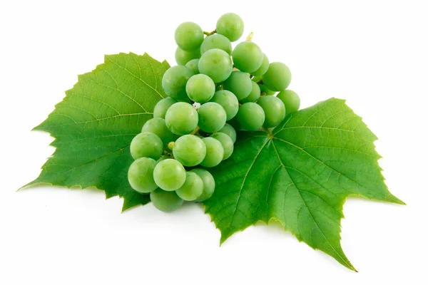 Bando de uvas verdes maduras com folha Iso — Fotografia de Stock