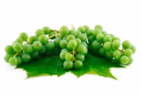Пучки стиглі зелений виноград з листом я — стокове фото