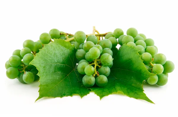 Trossen van rijp groene druiven met blad ik — Stockfoto