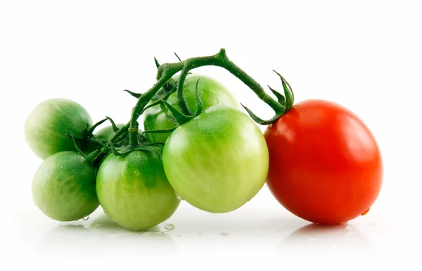 Zralé mokré červená a zelená rajčata, samostatný — Stock fotografie