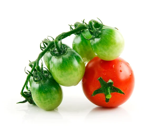 Rijpe natte rode en groene tomaten, geïsoleerd — Stockfoto