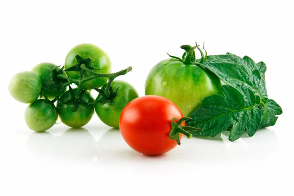 Zralé mokrá červená a zelená rajčata s lea — Stock fotografie