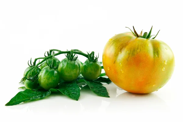Rijpe natte gele en groene tomaten isola — Stockfoto