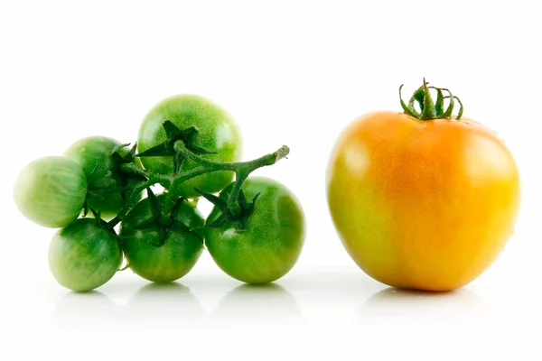 Ripe Wet Yellow and Green Tomatoes Isola — Stock Photo, Image