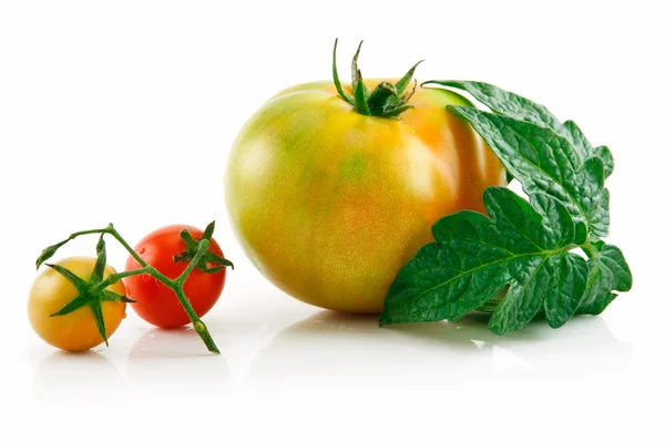 Tomates amarelos e vermelhos úmidos maduros com Le — Fotografia de Stock