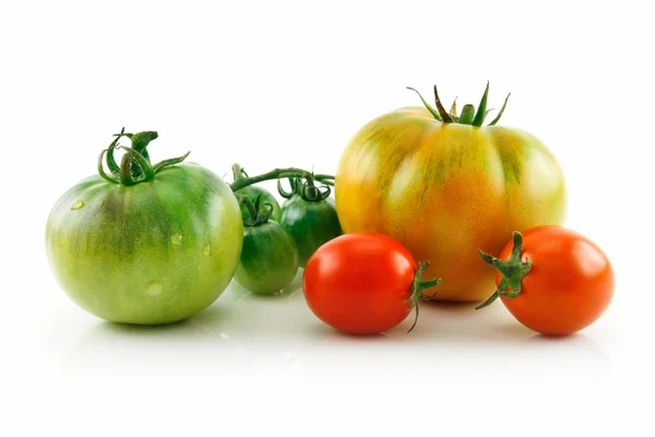 Isolado de tomates vermelhos e amarelos úmidos maduros — Fotografia de Stock