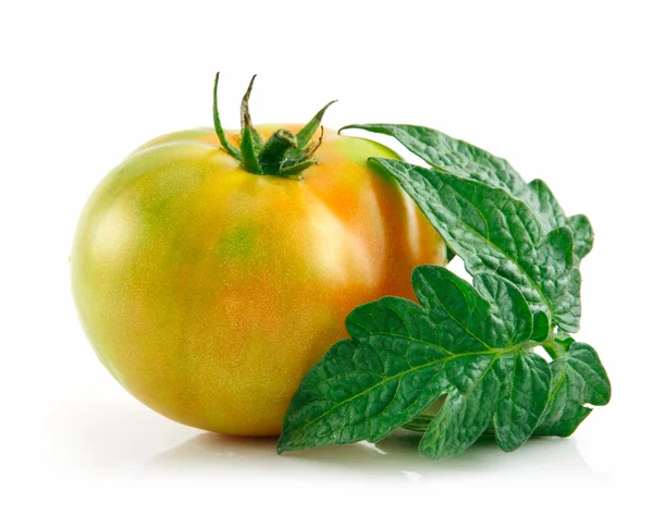 Mogna våt gula tomater med bladen iso — Stockfoto