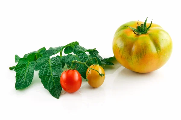 Tomates vermelhos úmidos maduros com folhas Isolat — Fotografia de Stock