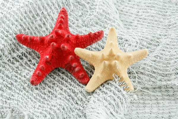 Kolorowe rozgwiazdy na tle sieci rybackich — Zdjęcie stockowe