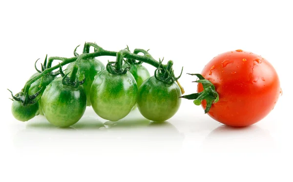 Dojrzałe mokre czerwony pomidor z zielonych liści iso — Zdjęcie stockowe