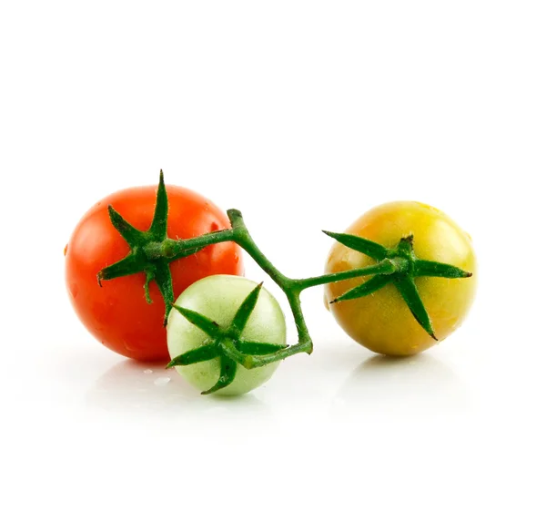 Tomates rojos y verdes húmedos maduros aislados — Foto de Stock