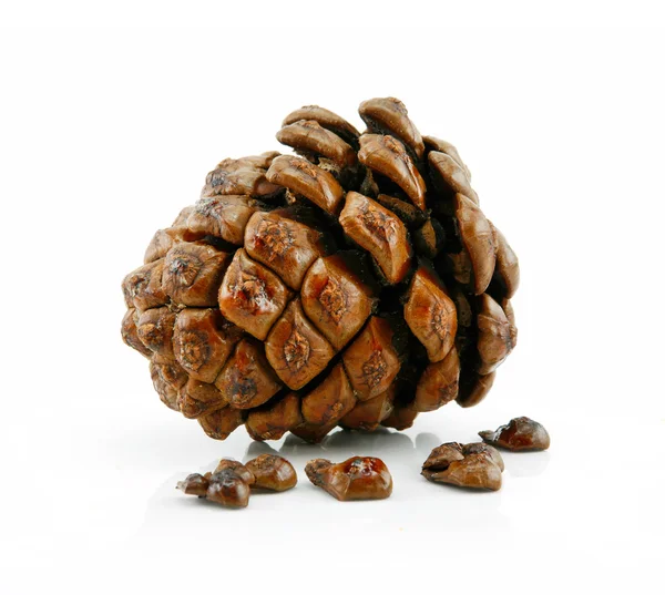 Kužel a ořechy ze sibiřského cedru, samostatný — Stock fotografie