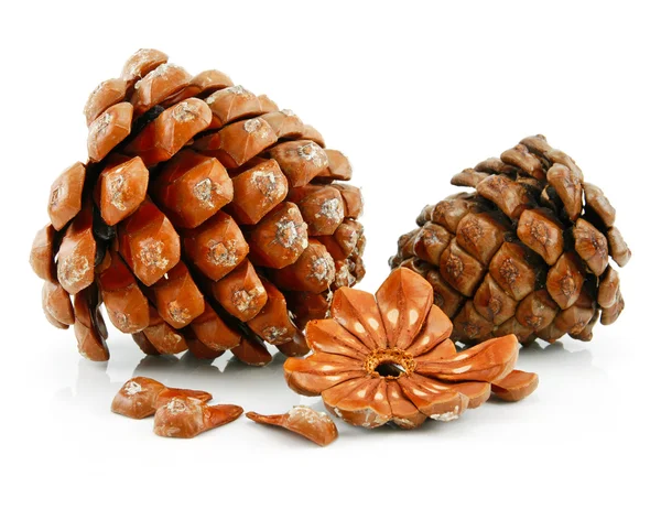 Орехи и конус изолированной сибирской сосны — стоковое фото