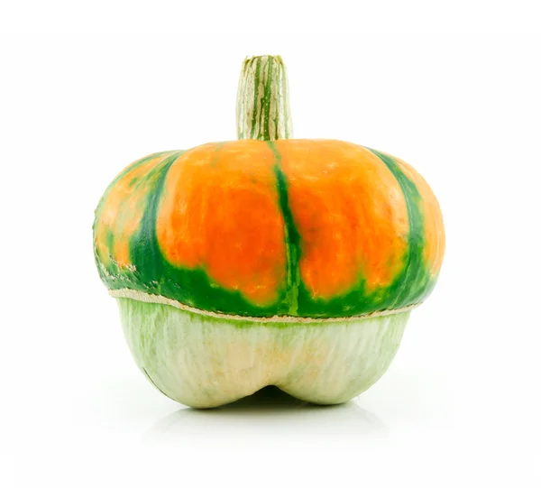 Gourds maturo Isolato ibrido vegetale su — Foto Stock