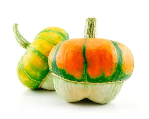 Ripe Gourds Vegetable Hybrid Isolated on — Stock Photo, Image