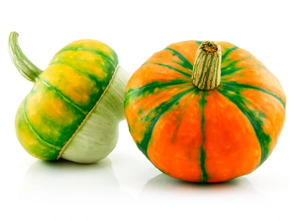 Gourds maturo Isolato ibrido vegetale su — Foto Stock