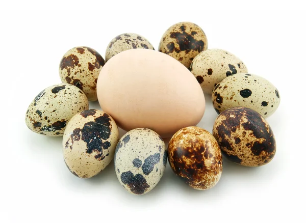 Gruppo di uova di quaglia crude isolate su Whit — Foto Stock