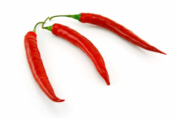 Röd chilipeppar isolerad på vitt — Stockfoto