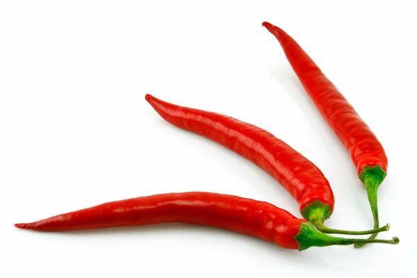 Červená chilli paprika izolované na bílém — Stock fotografie