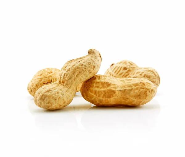 Amendoim seco maduro isolado em branco — Fotografia de Stock