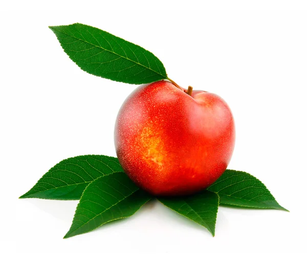 葉の緑と熟した桃 (ネクタリン) — ストック写真